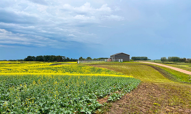 70 (+/-) Acres With ...
