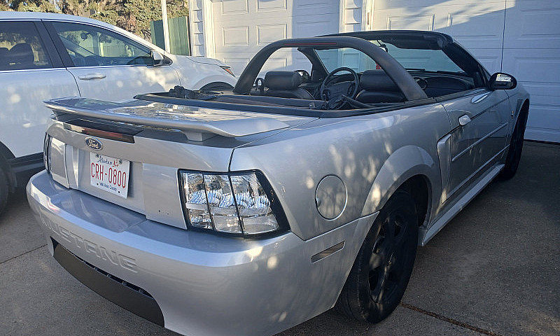 Ford Mustang Convert...