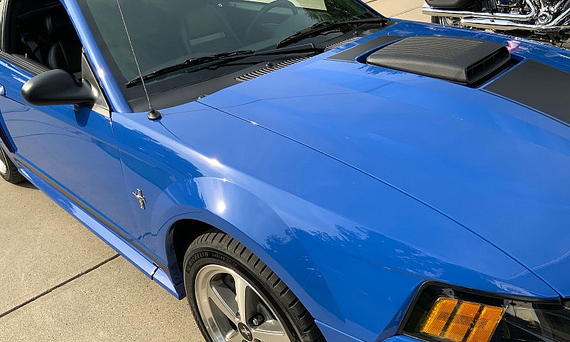 Mustang Mach 1...
