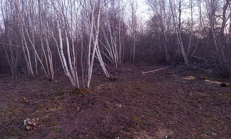 Land For Sale...