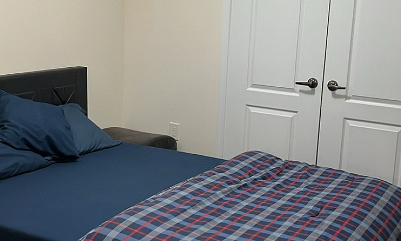 Basement Apartment F...