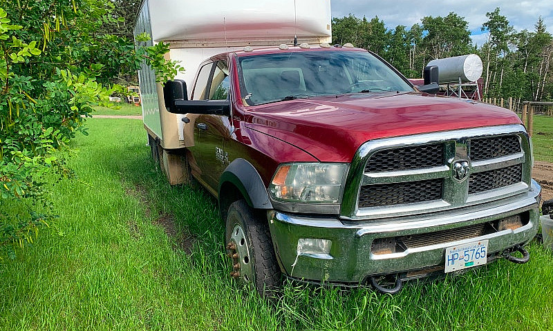 2013 Dodge Steamertr...