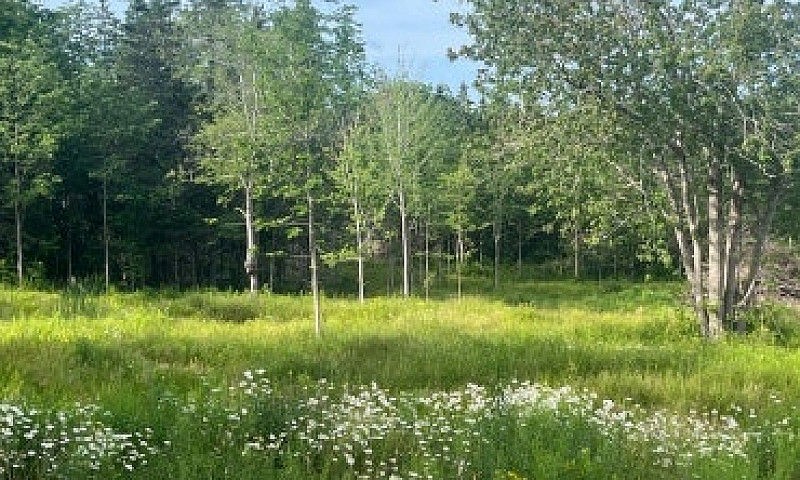 10.5 Acres...