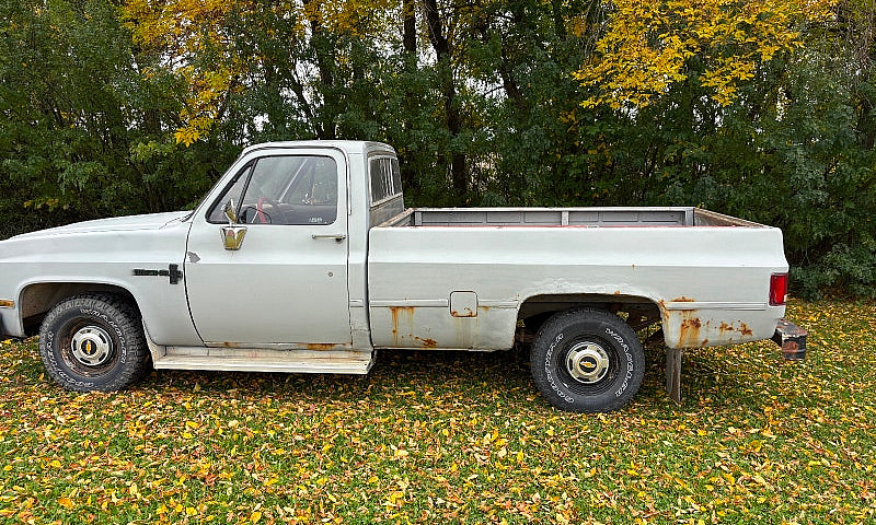 1981 C10...