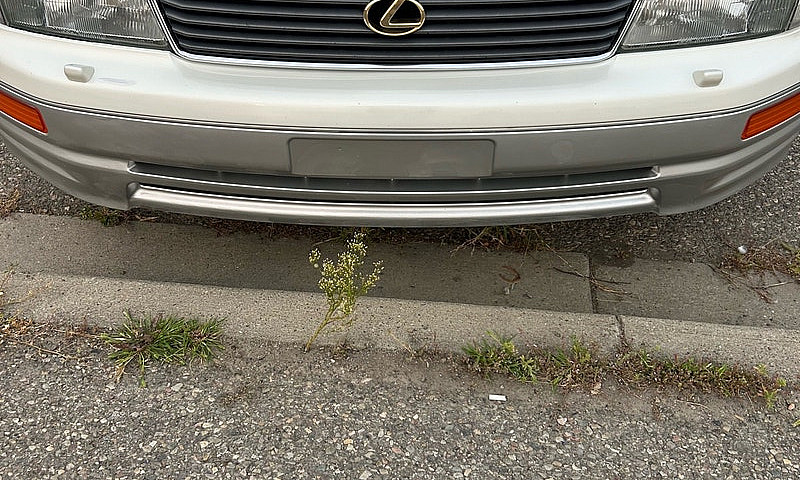 Lexus Ls 400...