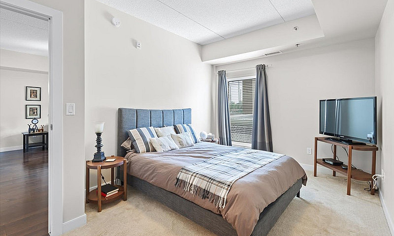 Modern & Affordable ...