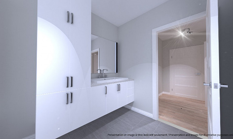 1 Chambre / 1Bdr (Co...