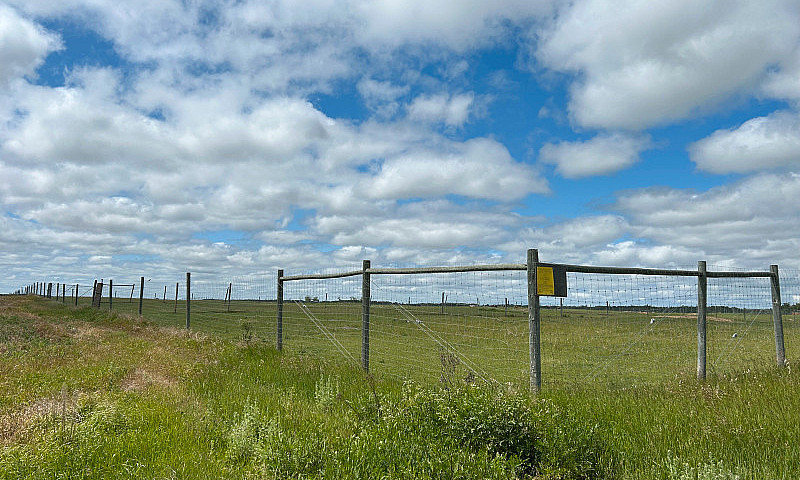 40 Acres For Sale...