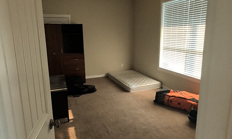 Daylight Basement Su...