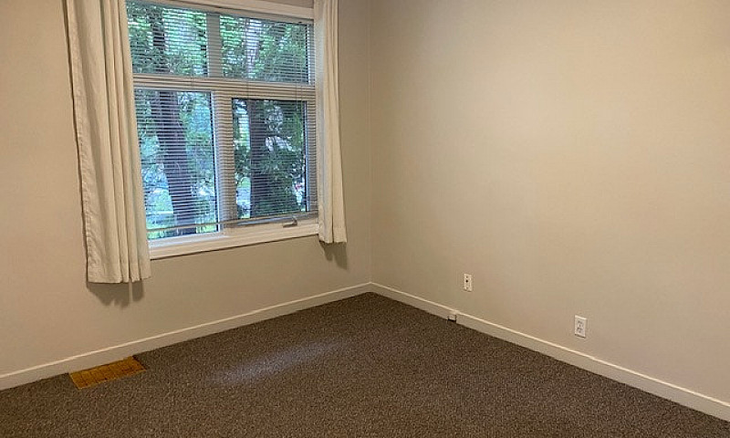 University Three Bed...