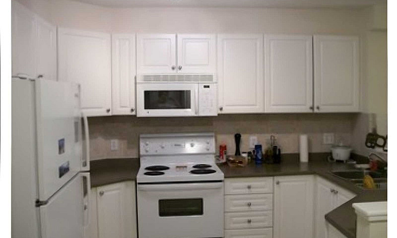 Downtown 1 Bedroom C...