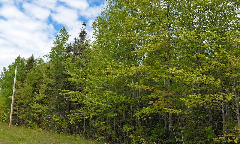 Land For Sale  Of +/...