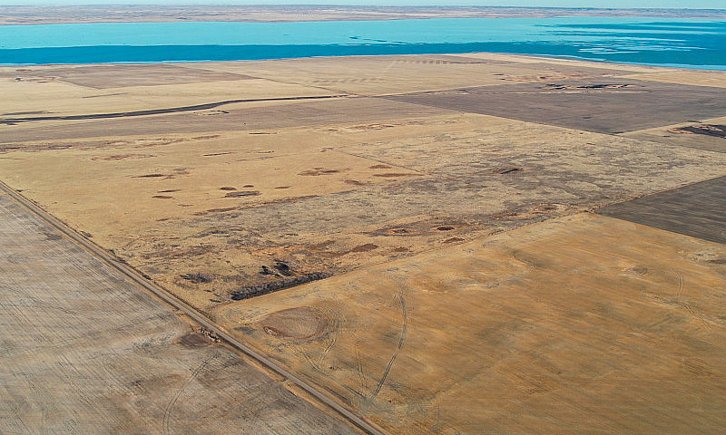 Section Of Pasture I...