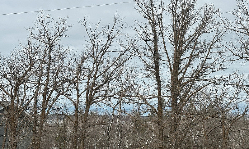 16 Lakespeak Cres, H...