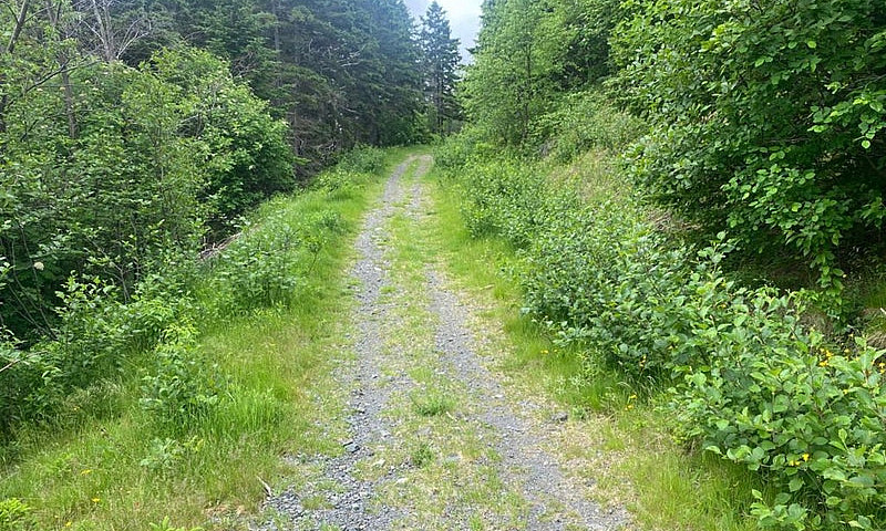 1 Acre Of Land In Be...