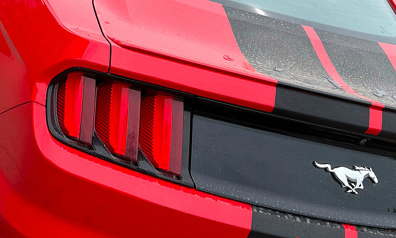 2015 Mustang Ecoboos...