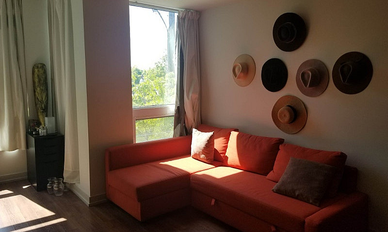 Furnished 1-Bedroom ...