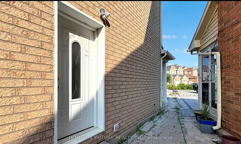 2 Bed Bsmt W/ Separa...