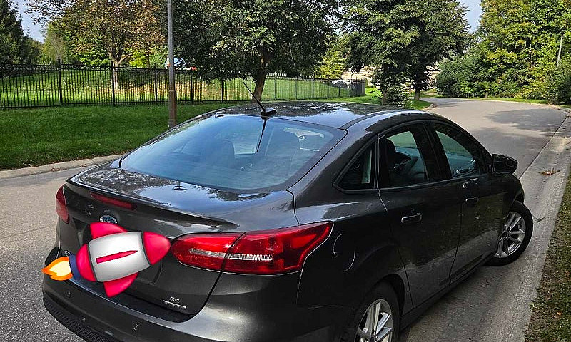2015 Ford Focus ...