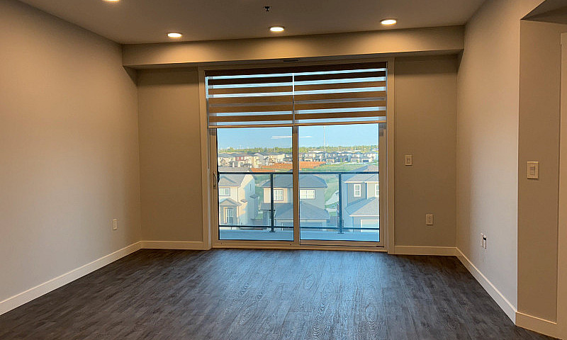 Luxury 1Bd 1Bth Apar...