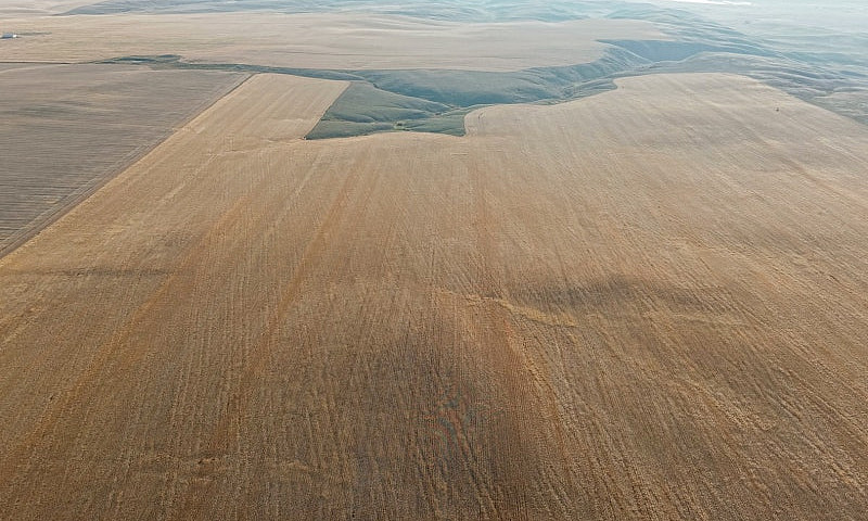 17Q Of Grain Land Al...