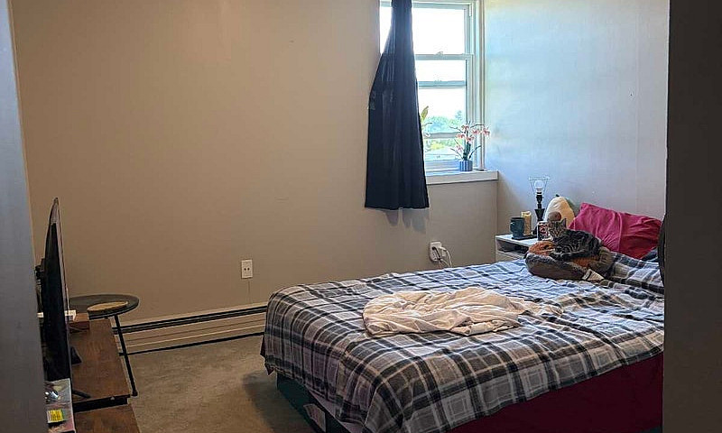 One Bedroom One Bath...