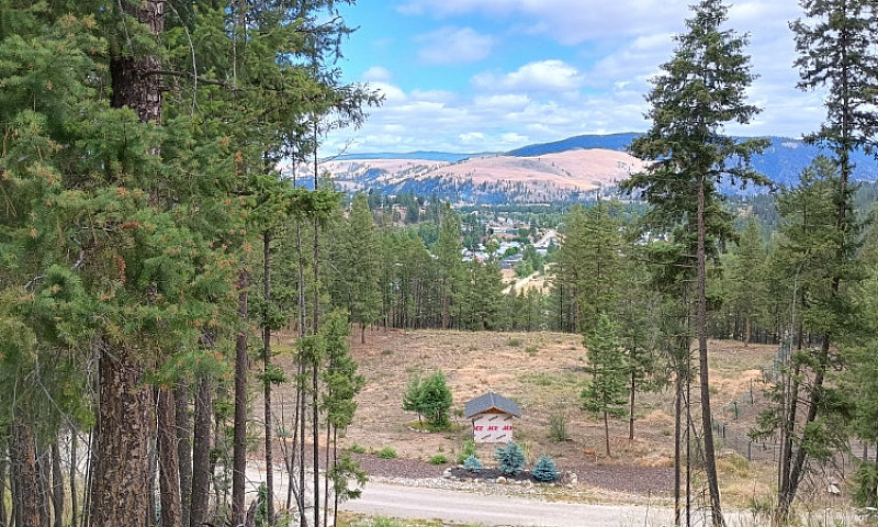 Princeton Bc 1.999 A...