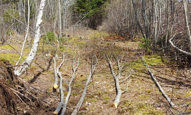 Land For Sale In Mar...