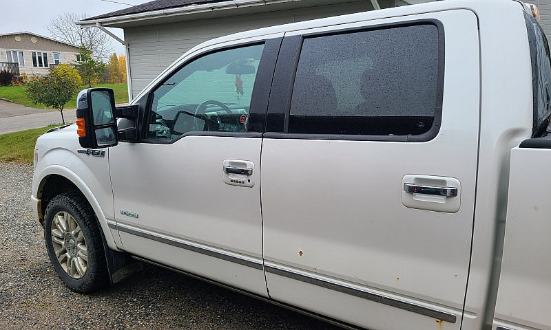 2014 Ford F150 Plati...
