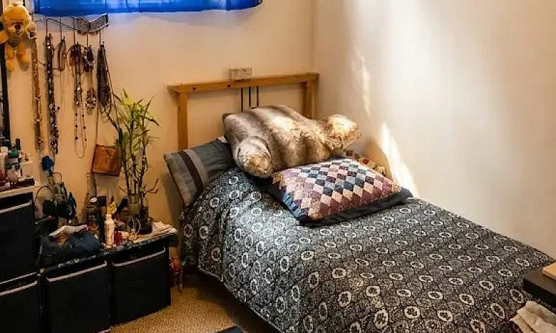 3 Beds, 1 Bath Basem...