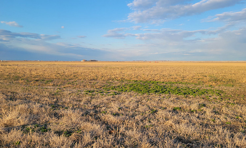 Prime Irrigated Farm...