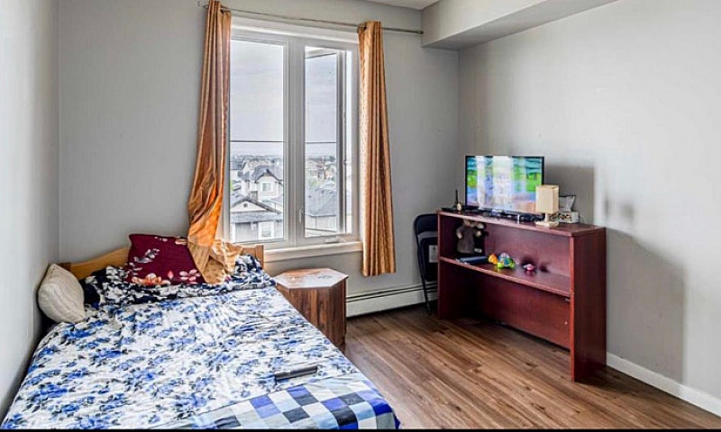 Rent Apartment...