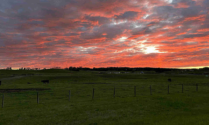 Acreage Wanted ...