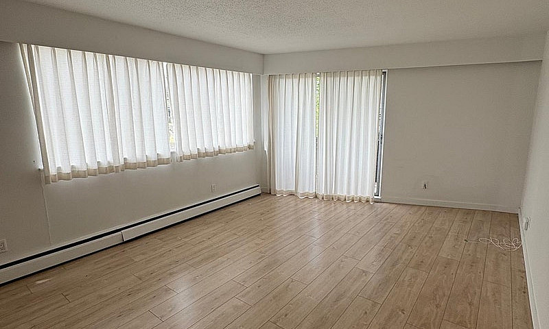 Bright 1-Bedroom Sui...