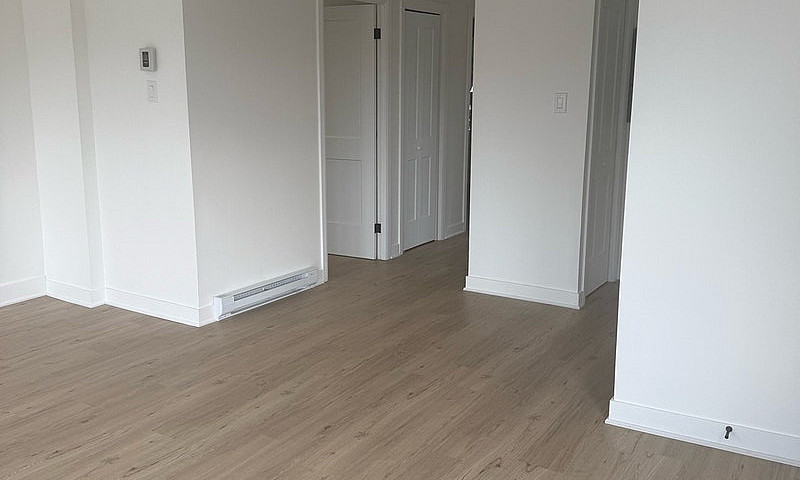 Logement 4-1/2 À Lou...