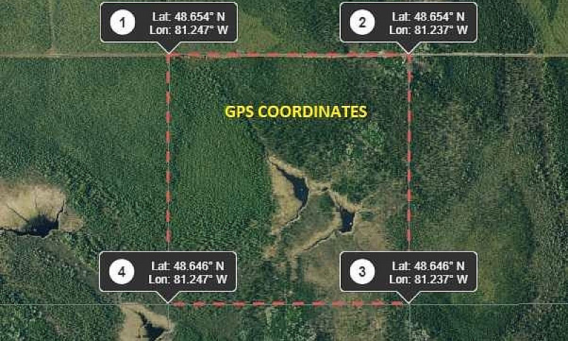 164 Acre Natural Par...