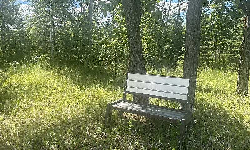 4.2 Acre Private Cam...