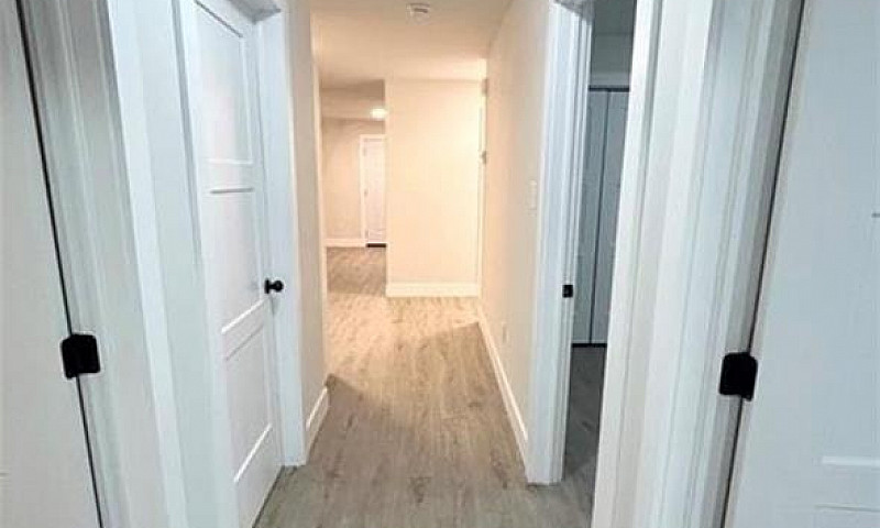 Brand New House For ...