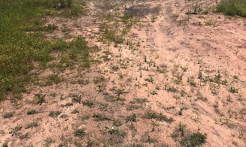 Land For Sale ...