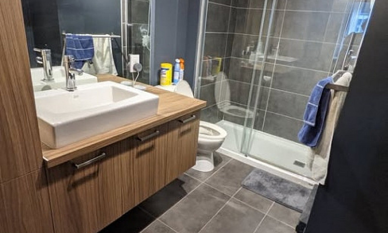 1 Bedroom Downtown C...
