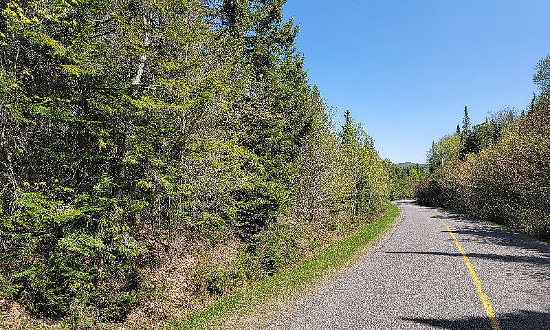 Terrain 40 Acres Sub...