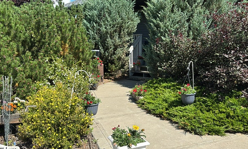 Beautiful Acreage Wi...