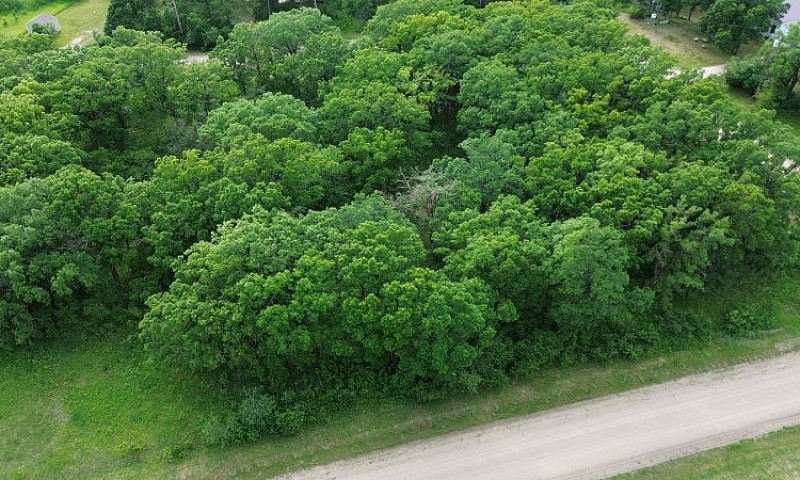 Lot For Sale At Peli...