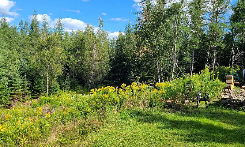 Land For Sale With P...