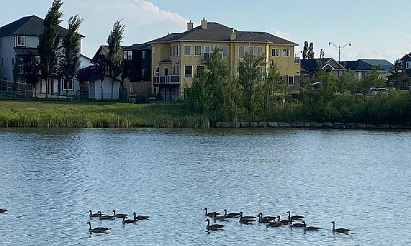 5-Bedroom, 4 Bath La...