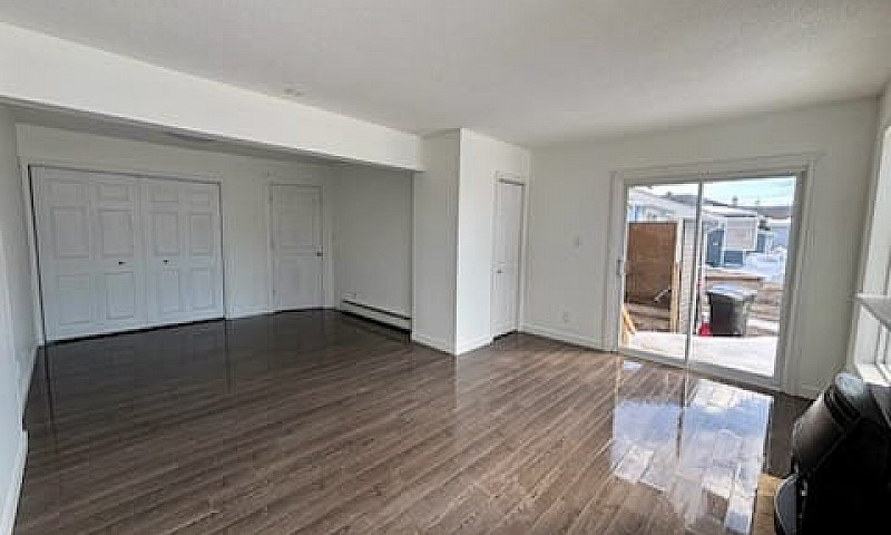 Newly Renovated 3 Be...