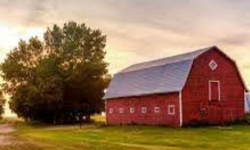 Iso Acreage For Rent...