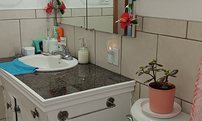A Room For Rent With...