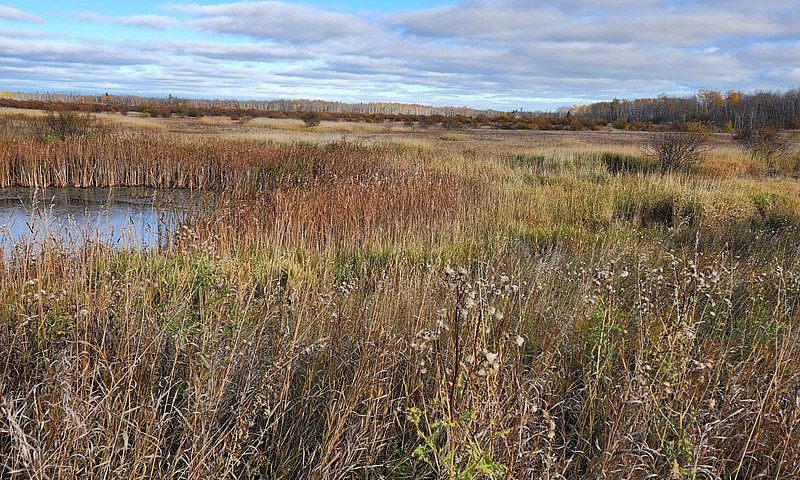 156 Acres For Sale...
