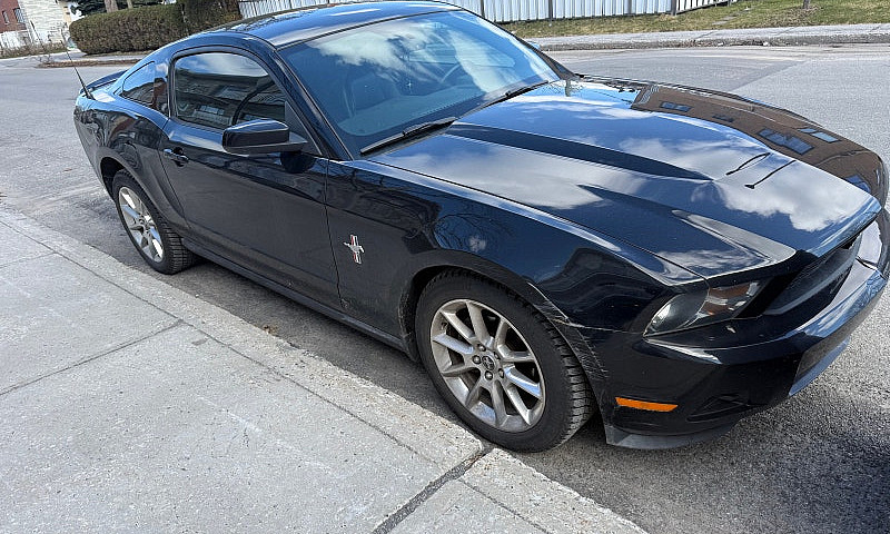 Mustang V6...